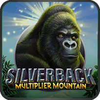 Silverback-Multiplier-Mountain